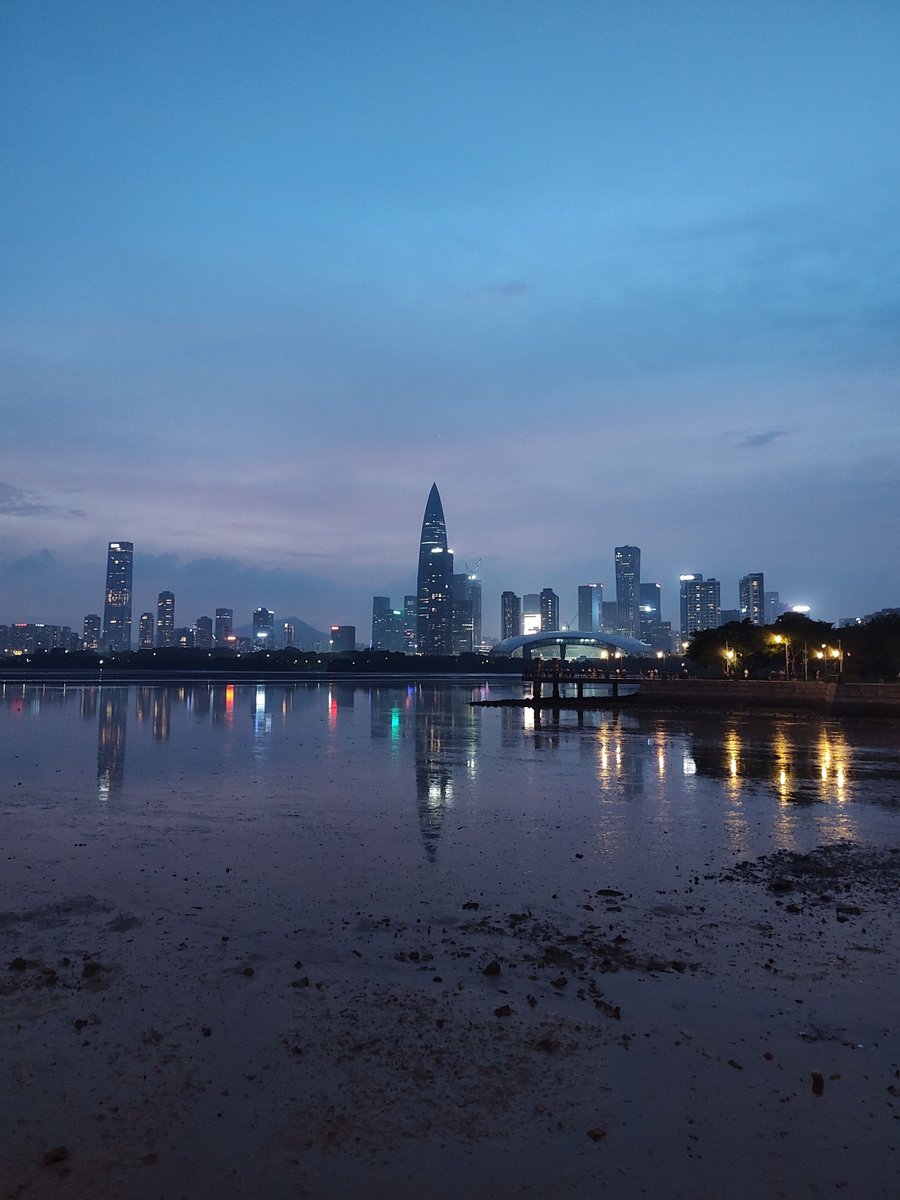 Shenzhen skyline at dusk